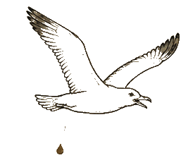 The seagull from the opening illustration, mid-flight, opinion mid-drop &mdash; retired.